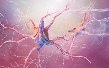 fisioterapia neurologica