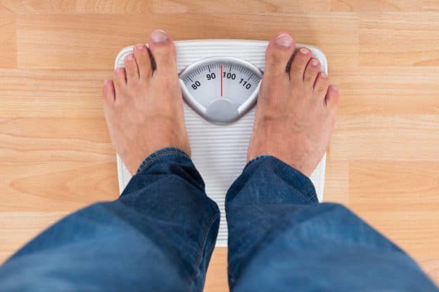 fitoterapia emagrecimento