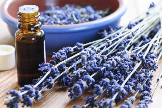 Aceite ensencial de lavanda